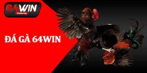 Đá Gà 64Win