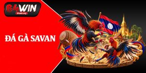 Đá Gà Savan