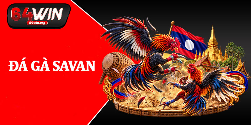 Đá Gà Savan